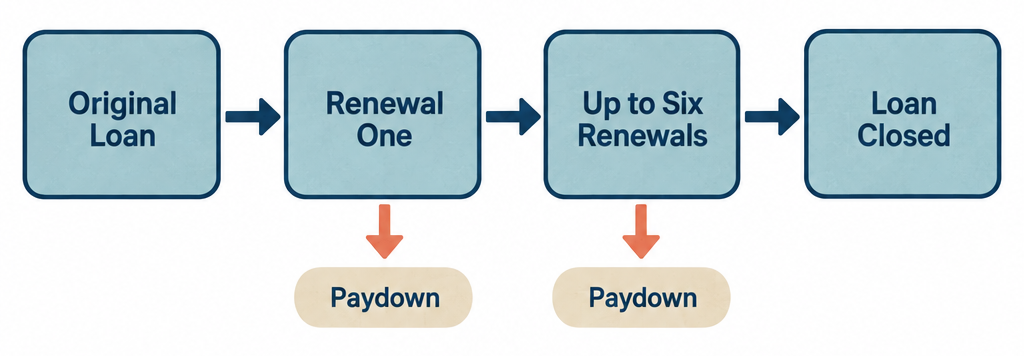 Flow diagram showing the payday loan renewal cycle: original loan, first renewal with partial paydown, up to six renewals, and loan closed