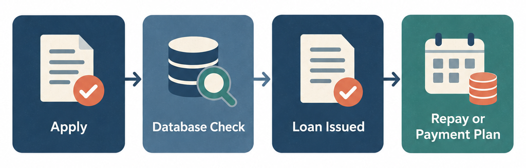 Flow diagram showing the Wisconsin payday loan process: Apply, Lender checks database, Funds issued, Repayment or plan offered